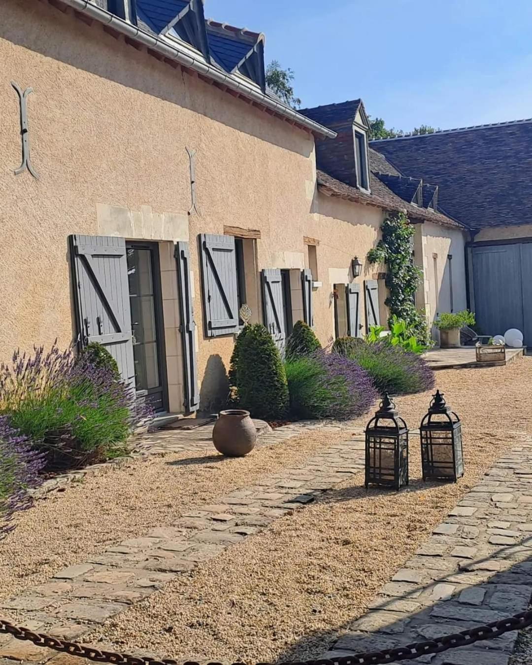 Hotel Domaine De La Limetiere Neuvy-le-Roi Exteriér fotografie